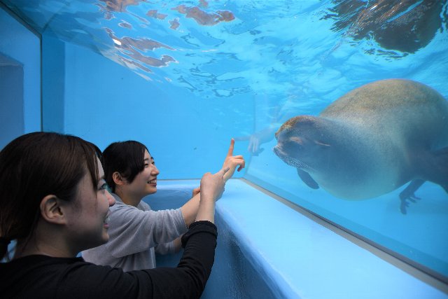 とべ動物園／アシカ舎.jpg